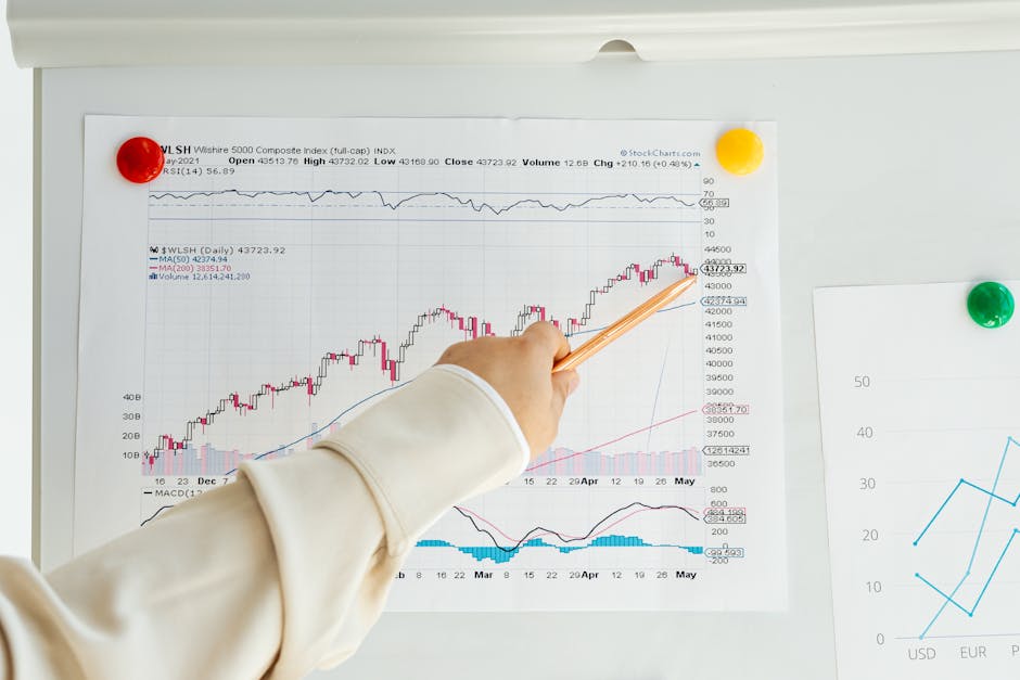 Bitcoin im Bärenmarkt: Aktuelle Trends