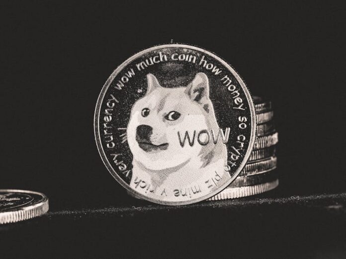 Dogecoin und Cardano im aktuellen Krypto-Markt