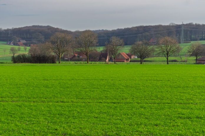 Eike Alswede und nachhaltige Landwirtschaft