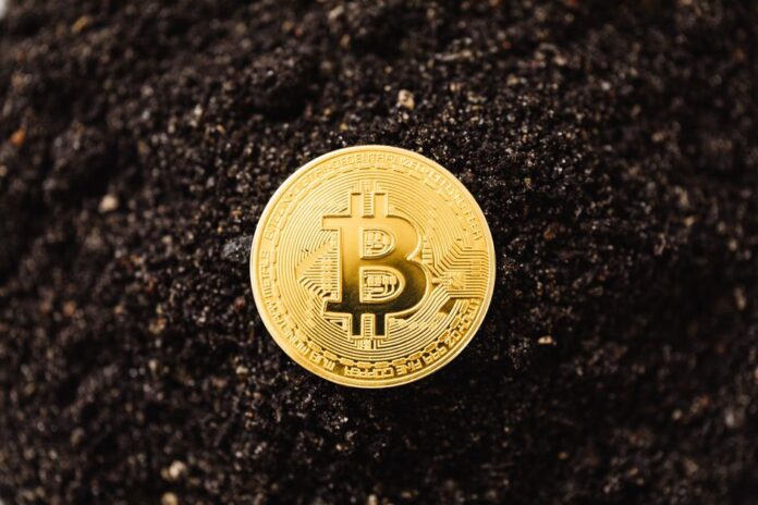 Bitcoin-Mining: Chancen und Herausforderungen