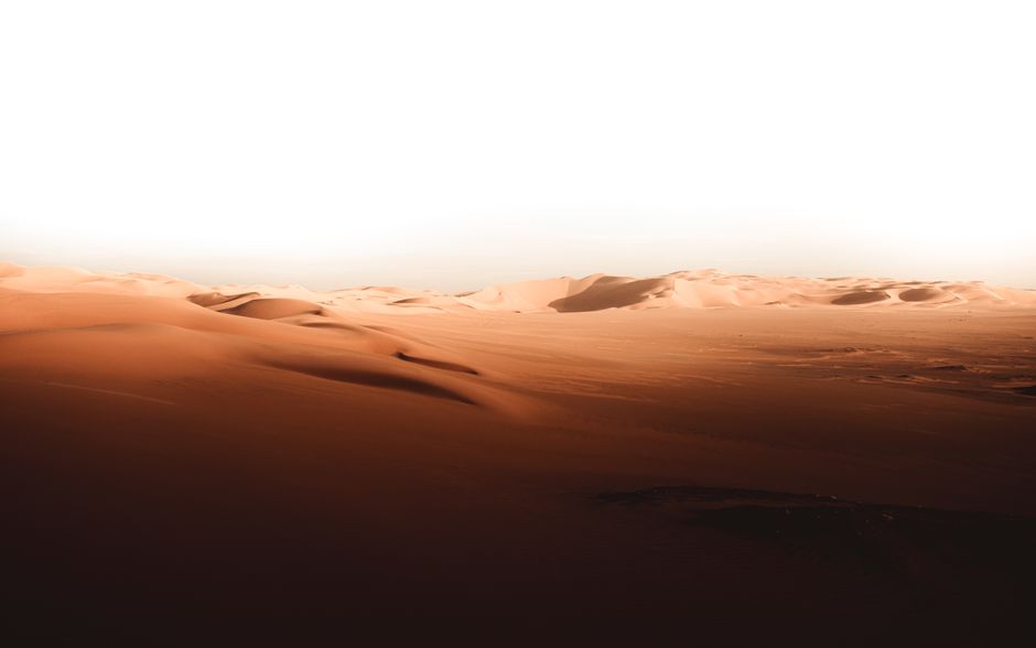 SAHARA-Token unter Marktvolatilität